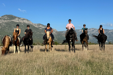 Dubrovnik: Horse Riding with local guide - beginner friendly