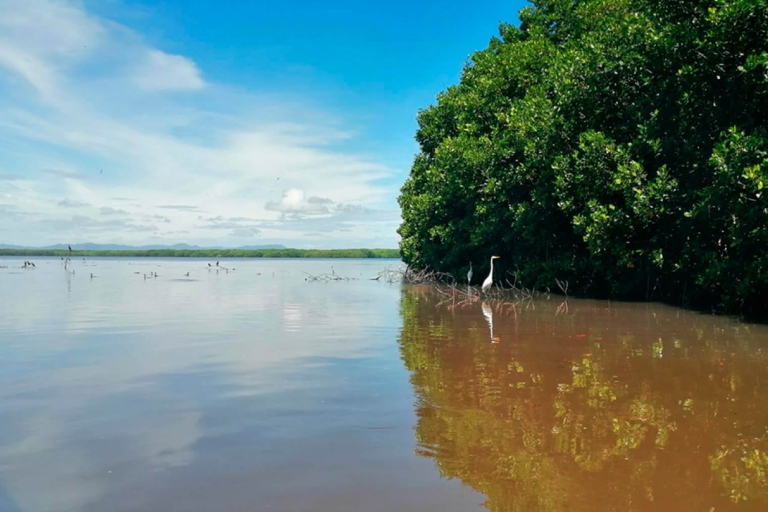 Huatulco: Eksploracja Laguny de Chacahua