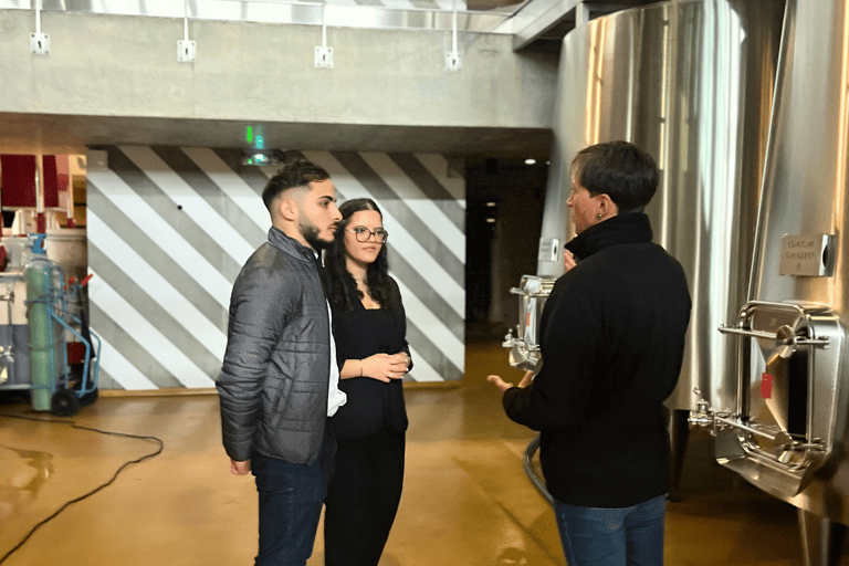 Bordeaux: Tour dei vini e dei vigneti di Saint-Émilion