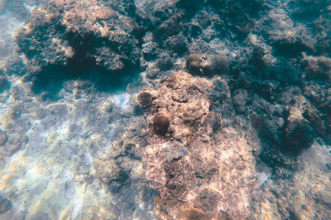 Krabi : tour en bateau privé à longue queue des 4 îlesDemi-journée d'excursion privée en bateau à longue queue