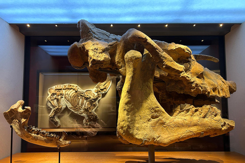 Shanghai Natural History Museum Admission Ticket