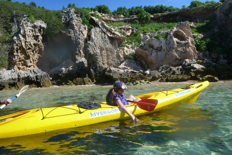 Perth : Excursion en kayak de mer dans le parc marin des îles Shoalwater