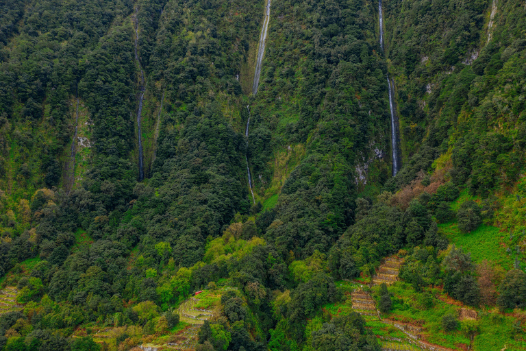 Madeira: 25 Fontes Rabaçal Hiking with Flexible Transfer