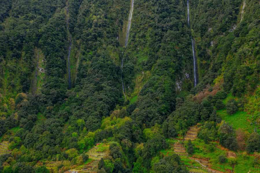 Madeira: Wanderung zu den 25 Quellen in Rabaçal mit flexiblem Transfer. Foto: GetYourGuide Madeira: Wanderung zu den 25 Quellen in Rabaçal mit flexiblem Transfer. Foto: GetYourGuide