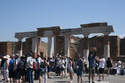 Tour from Naples : Vesuvius & Pompeii by Bus + Entry Tickets Tour from Naples to Pompeii & Vesuvius + Entry Tickets