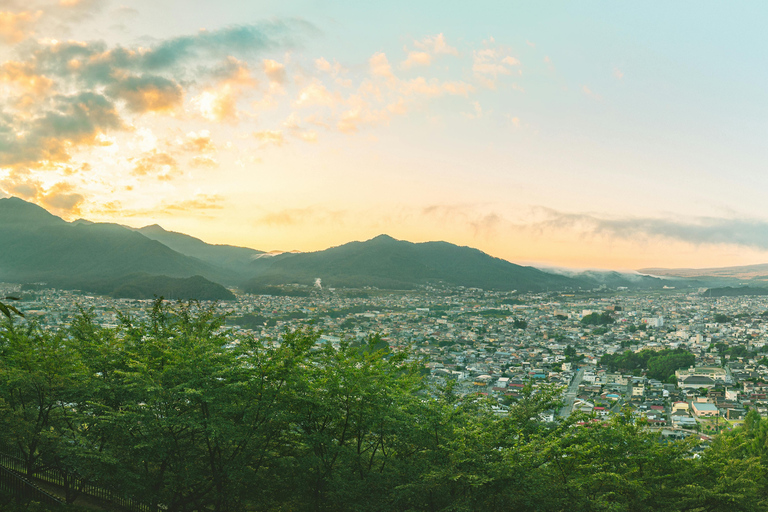 From Tokyo: Mount Fuji Full-Day Customizable & Private Tour Luxury MiniVan (1 upto 6)