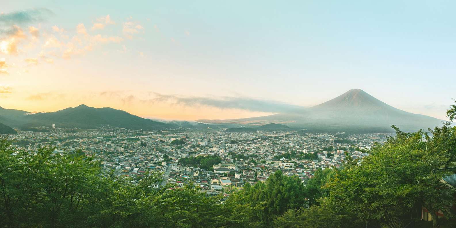 Oishi Park lavender fields with Mount Fuji panoramic view — private day tour from Tokyo