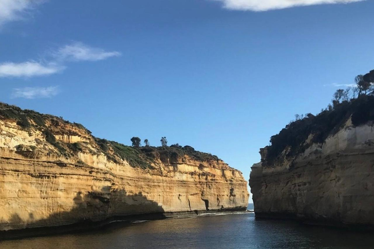 Private Tour: Great Ocean Road - Twelve Apostles Great Ocean Road - Twelve Apostles