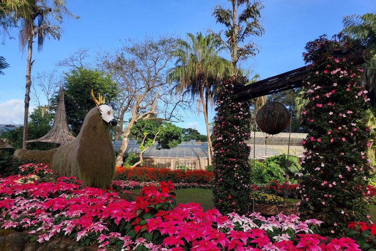 Chiang Rai: Mountains Discovery Doi Mae Salong & Doi Tung Mountains Discovery:Doi Mae Salong & Doi Tung (Private Tour)