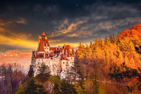 Bucareste: Castelo do Drácula, Castelo de Peles e viagem de 1 dia a BrasovInglês