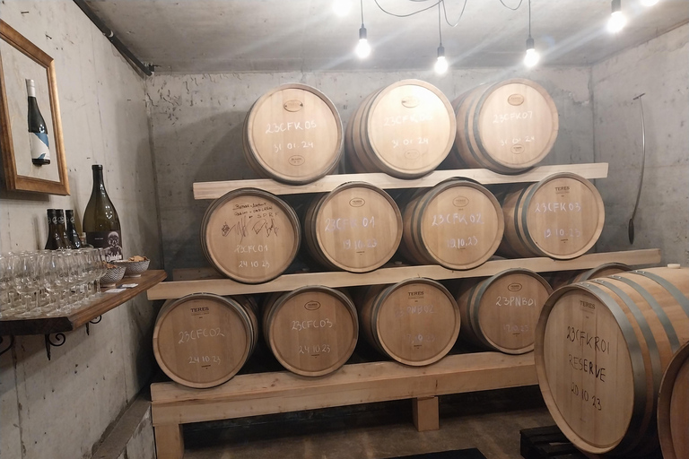 10 Essential Varna Experiences: The Complete Guided Tour