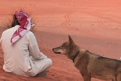 Jeep Tour of Wadi Rum’s iconic film locationsHalf day &amp; tea at sunset