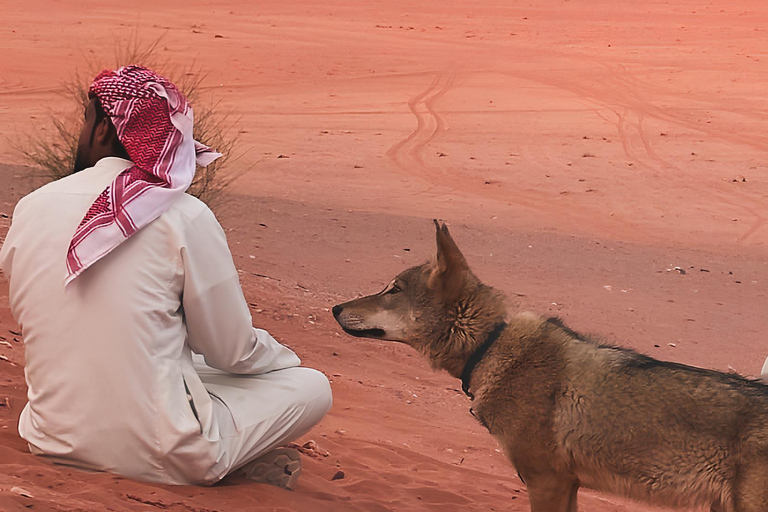 Jeeptur till Wadi Rums ikoniska filmplatserHalvdag &amp; te vid solnedgången