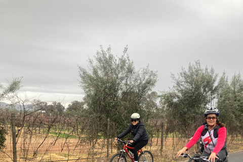 Bike and wine tasting across the Guadalupe Valley Biking and wine tasting across the Guadalupe Valley