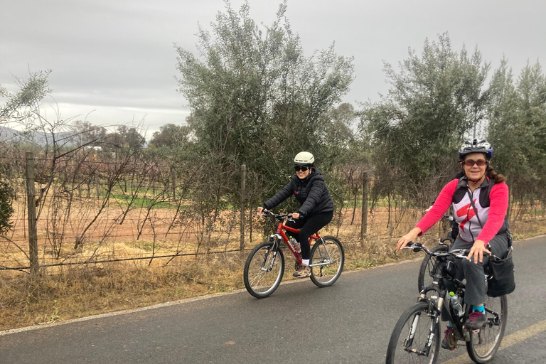 Bike and wine tasting across the Guadalupe Valley Biking and wine tasting across the Guadalupe Valley