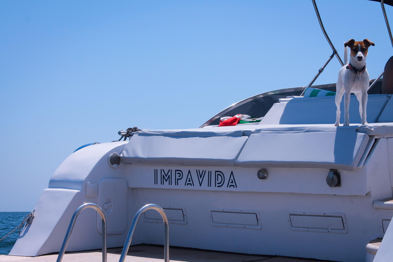 Naples: City Boat Tour with Aperitif