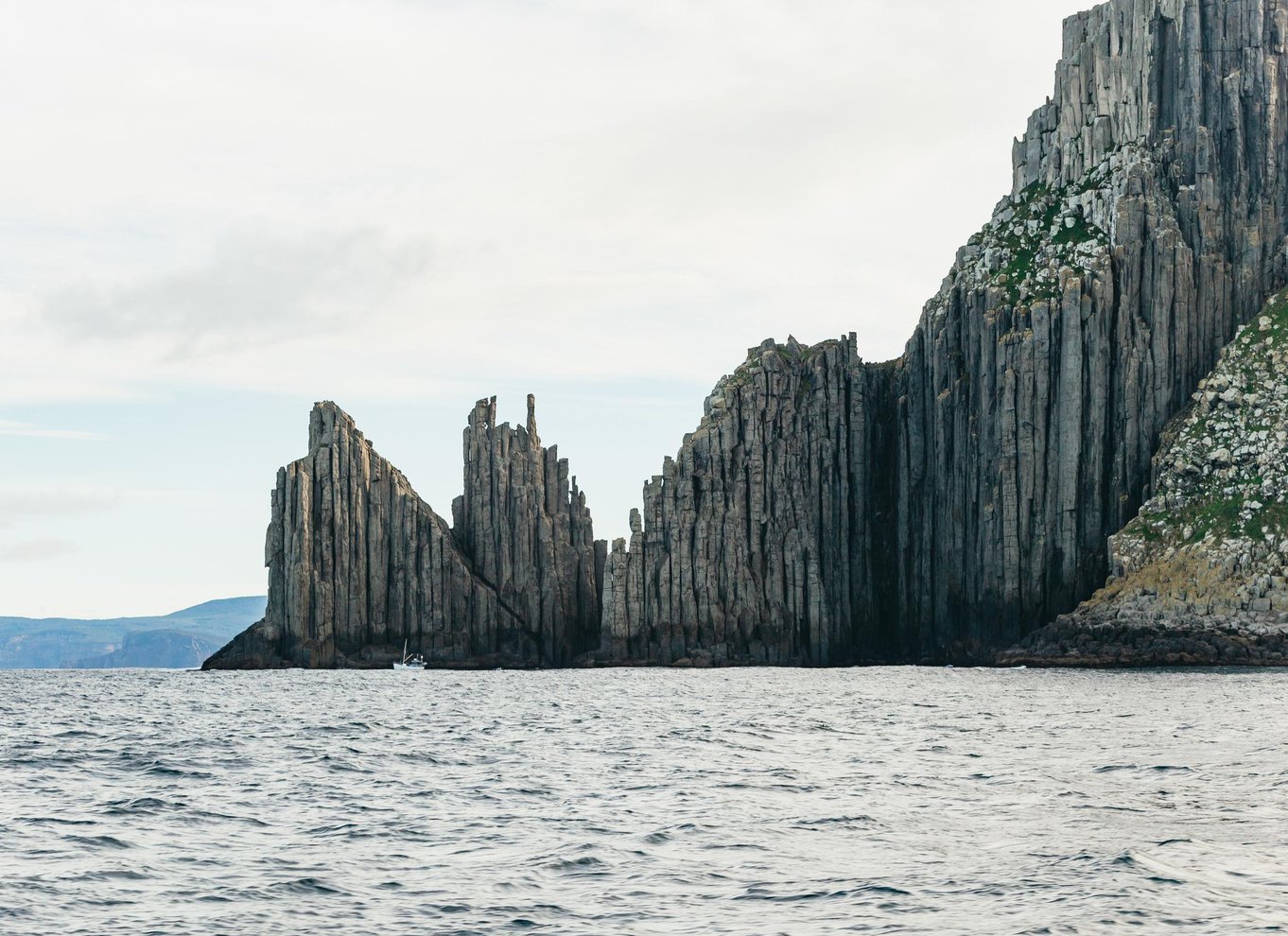 Fra Port Arthur: Tasman Island krydstogt i vildmarken