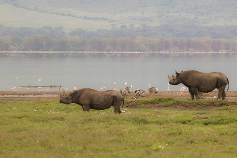 Arusha: 4 Days Private Safari Ngorongoro, Serengeti &Manyara