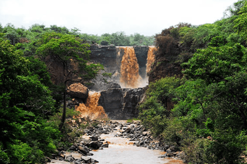 Addis Ababa: 3 Days Awash National park Safari Tour