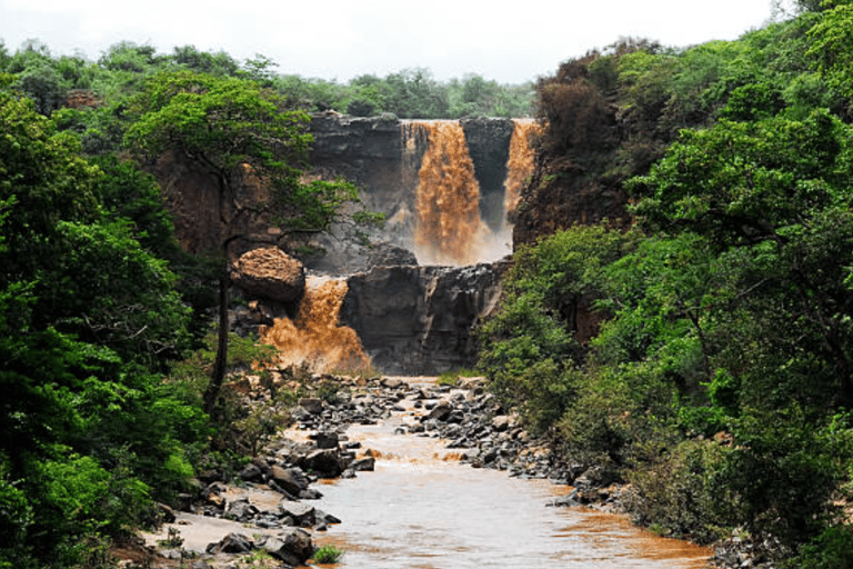 Addis Ababa: 3 Days Awash National park Safari Tour