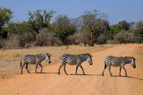 Maun: safari de 8 días por el delta del Okavango con acampada.Maun: safari de 8 días por el delta del Okavango con acampada