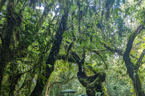 Nairobi: City Highlights Guided Tour