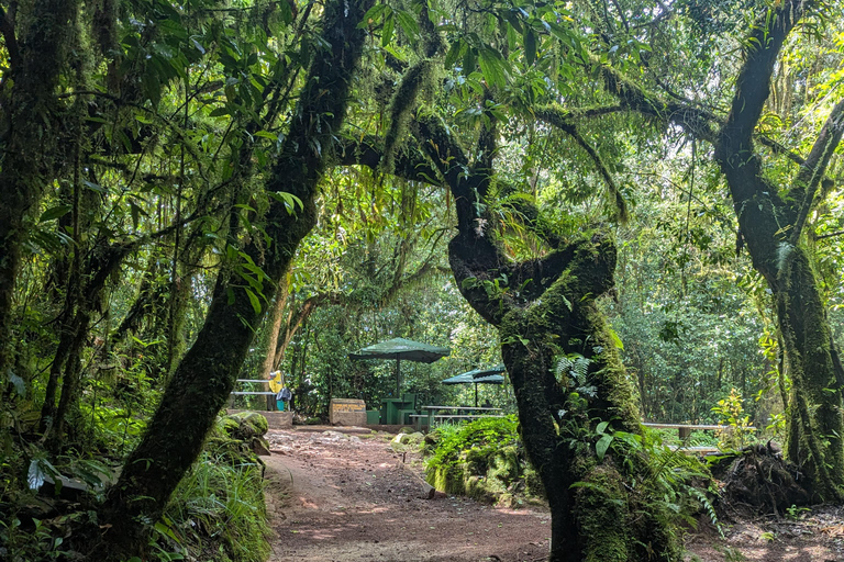 Nairobi: City Highlights Guided Tour
