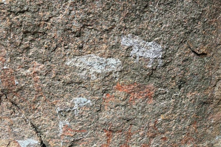 Maputo: Mkhuzweni Rock Art Site Day Tour