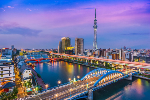 Tokyo: Private Full-Day Sightseeing Tour with English Driver