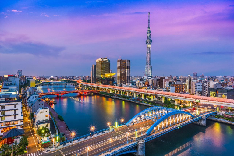 Tokyo: Private Full-Day Sightseeing Tour with English Driver