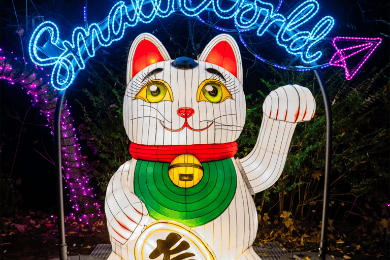 Bucarest: biglietto d'ingresso al Giardino delle Luci - Small WorldBucarest: biglietto d'ingresso al Giardino delle Luci - Fine settimana