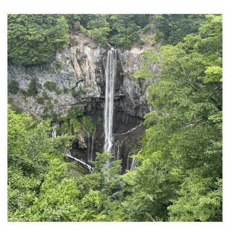 Tokyo: Customised Unmissable Nikko Unesco Private Day Tour