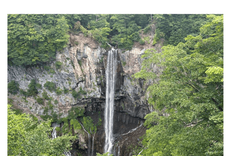 Tokyo: Customised Unmissable Nikko Unesco Private Day Tour Customised Nikko Unesco Private Day Tour in Luxurious Crwon