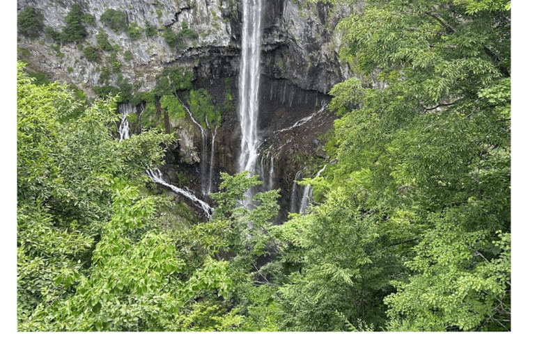 Tokio: Indywidualna jednodniowa wycieczka do Nikko Unesco, której nie możesz przegapić