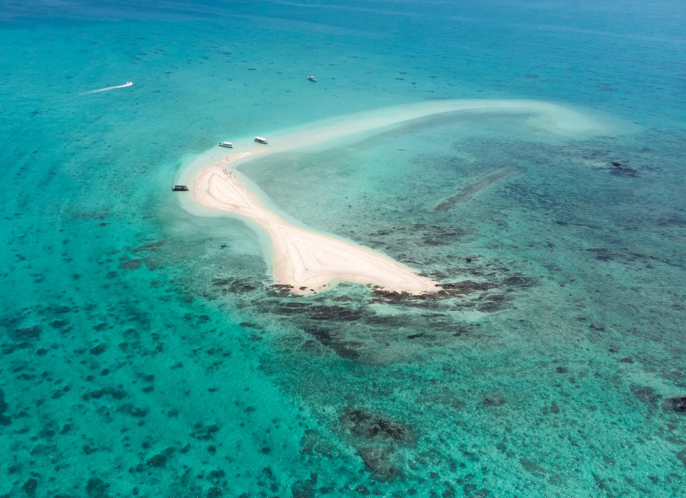 Ishigaki: Mangrove SUP eller kano & snorkling ved Phantom Island