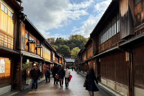 Kanazawa: Privat halvdagsutflykt - Trädgård, slott, Geisha