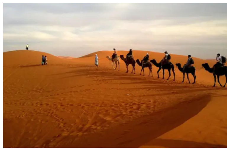 Doha: Halbtägige Wüstensafari mit Kamelritt und Sandboarding