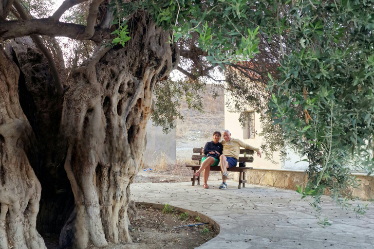 Pafos: Excursión de un día a los Montes y Pueblos de Troodos