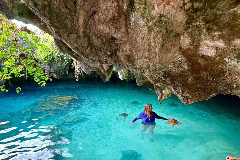 ZANZIBAR: Sea Turtles Swimming, Location Nungwi or Kizimkazi Salaam Cave Feeding & Swimming with and Sea Turtles