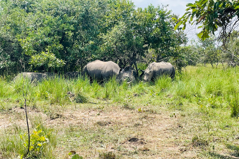 Uganda: Excursão de 7 dias a Kampala e Jinja, safári nas Cataratas MurchisonUganda: Excursão de 7 dias a Kampala e Jinja, Safári nas Cataratas Murchison
