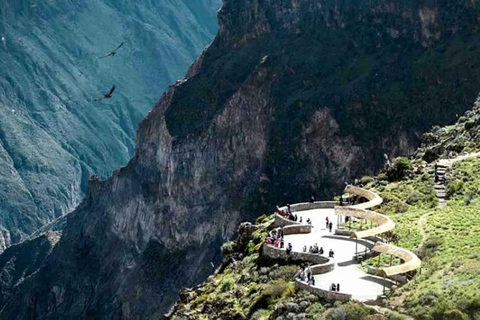 De Arequipa: Excursão ao Cânion do Colca 2D com término em Puno