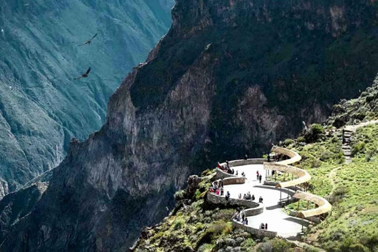 Da Arequipa: Escursione al Canyon del Colca 2D con arrivo a Puno