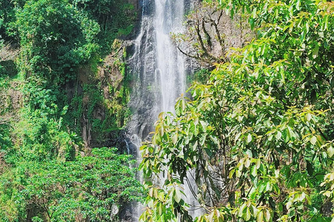 Moshi : excursion d&#039;une journée aux chutes d&#039;eau de Materuni et à la découverte du café