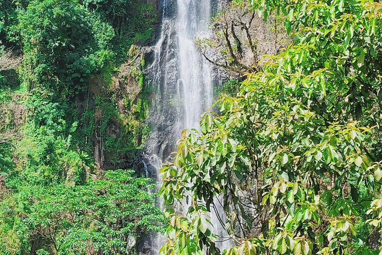 Moshi: Excursión de un día a las Cascadas de Materuni y la Experiencia del Café