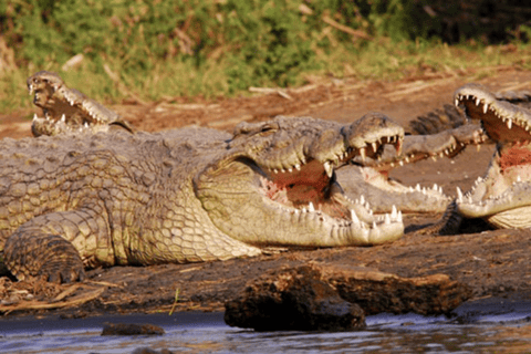 8 Days From Addis Ababa: Omo Valley Cultural & Tribal Tour