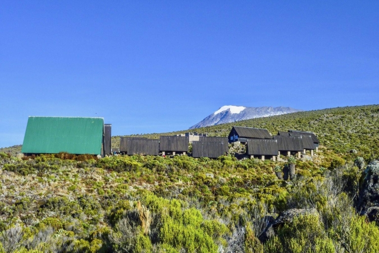 5 jours Ascension du Kilimandjaro par la route de Marangu