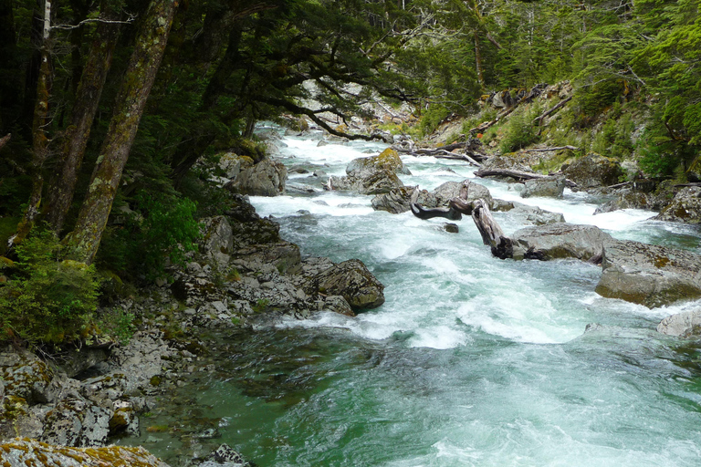 Queenstown: Geführte Ganztages- oder Halbtageswanderung auf dem Routeburn TrackRouteburn Track – geführter Naturrundgang – halbtägig