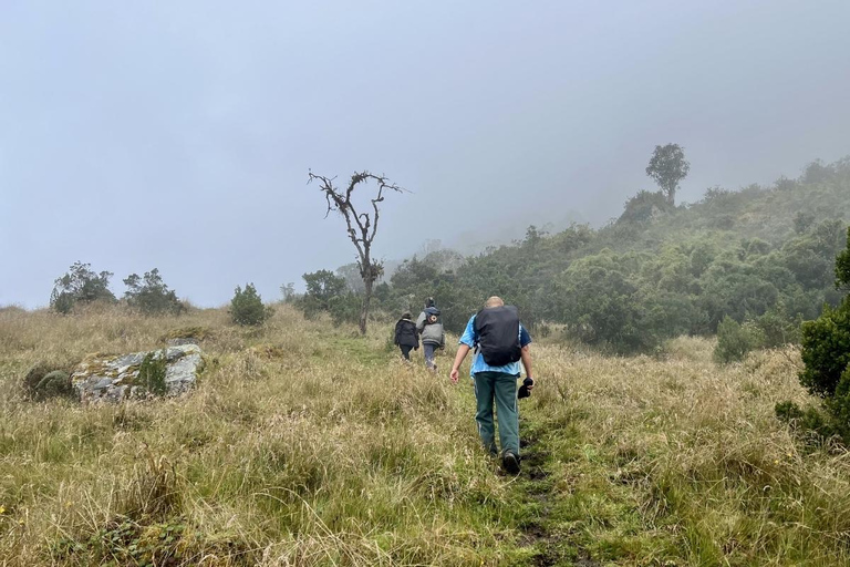 The Route of Water and Mist: Páramo Trek in Cruz Verde