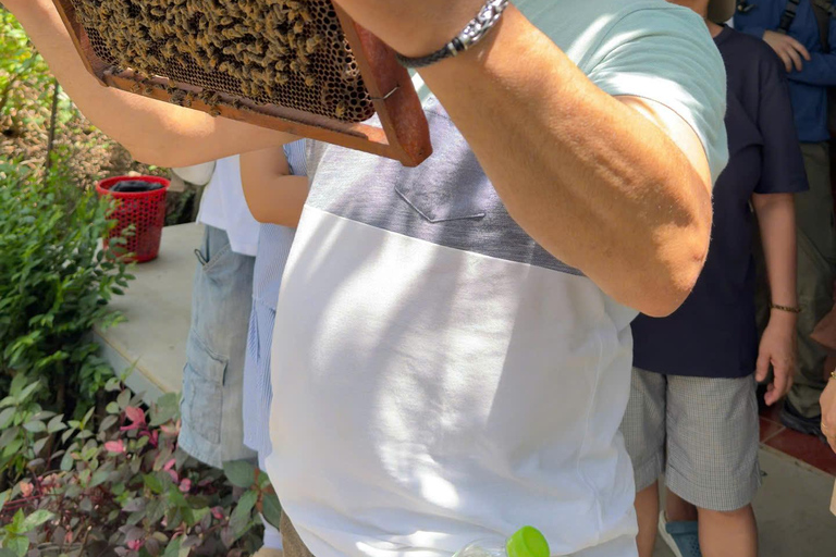 Max 14: Discover Cu Chi Tunnels System & Mekong Delta Private Group Tour