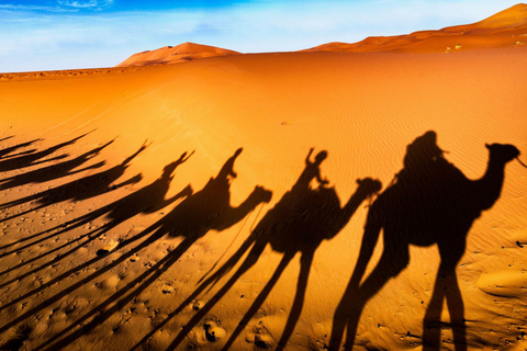 From Fes: 3-Day Merzouga Desert Tour to Marrakech Standard Desert Camp Experience (Shared Facilities)